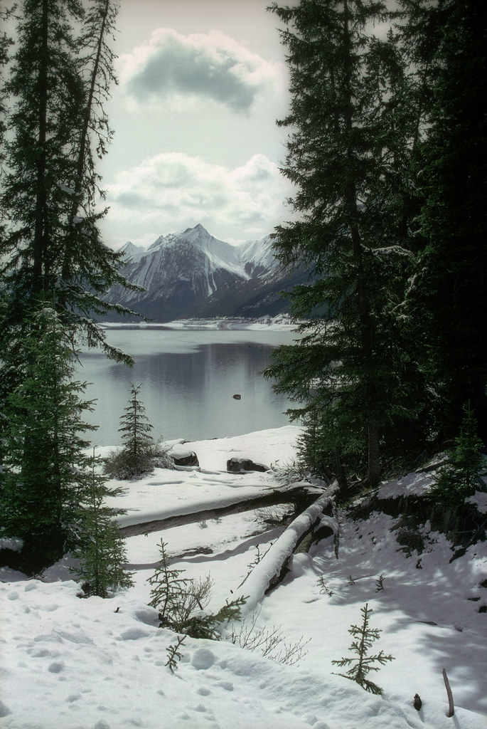 Medicine Lake, Jasper 1990